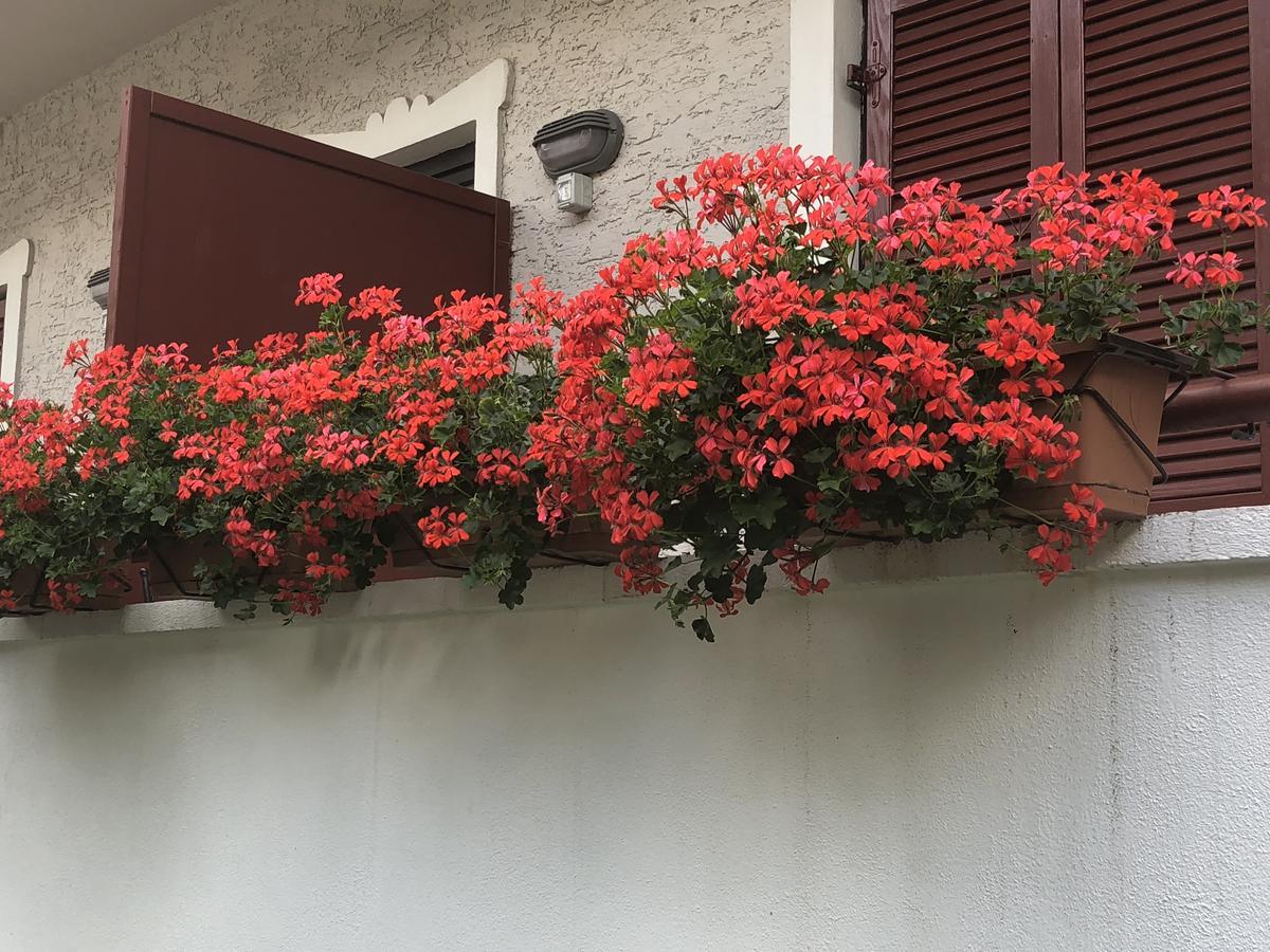 ميرانو Garni Villa Betty المظهر الخارجي الصورة